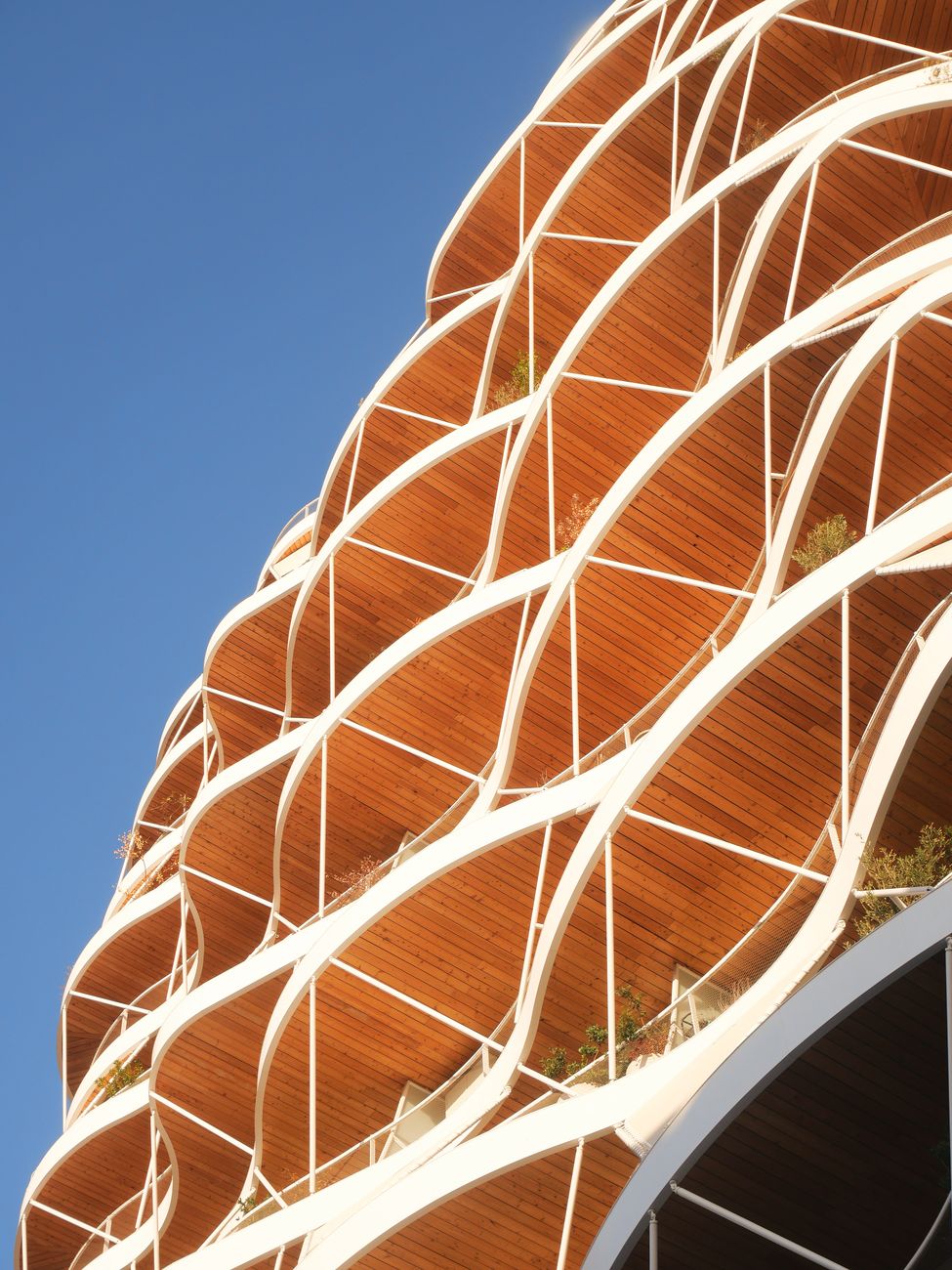 Diverse modern architecture with plants
